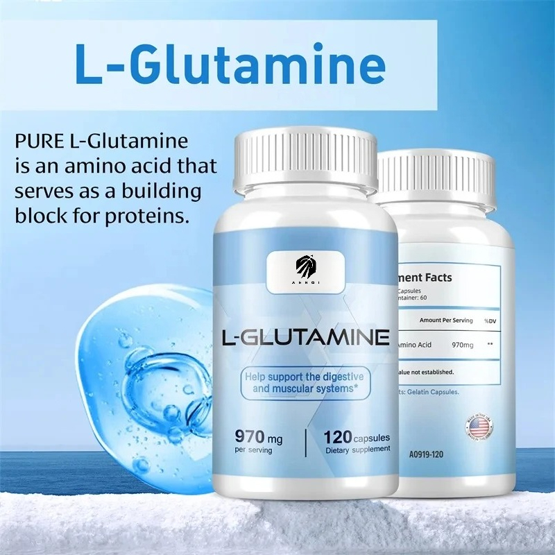 Nutrition Sports Fitness - Suplemento L-Glutamina para entrenamiento, recuperación muscular,